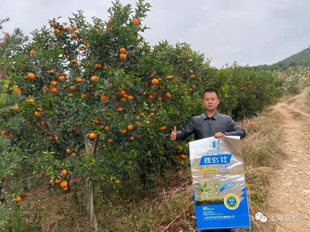 立杉肥料應用效果